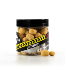 CPK WAFTER (Critic Echilibrat) Usturoi