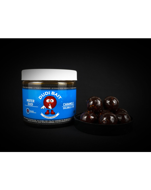Boilies Carlig Mister Dudi Caramel 24mm
