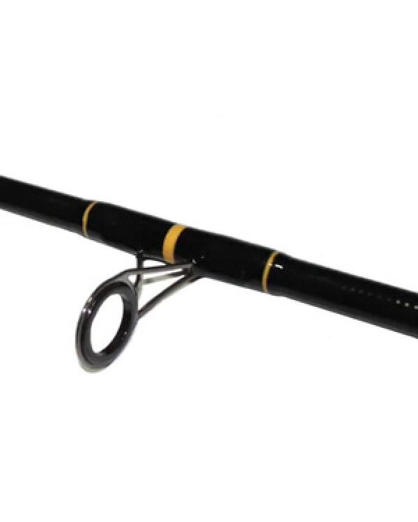 Lanseta WFT Never Crack Big Fish 270cm 150-700g