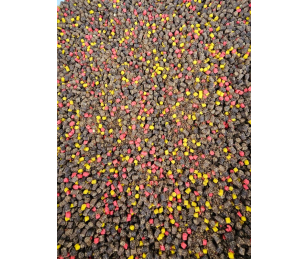 Salmon20 Bag & Mix Competition Frankfurter