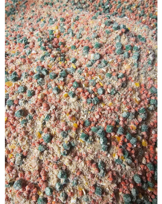 Salmon20 Bag & Mix Competition TigerNuts