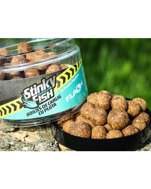 BOILIES HA SQUID PRUNA PIPER SOL. 800gr 20 MM
