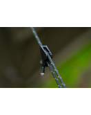 R-Series Bivvy Storm Pack - Magazin PESKUIT R-Series Bivvy Storm Pack - Magazin PESKUIT