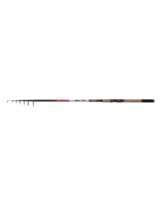 Lanseta CARP EXPERT TELE 30-80g/ 3,00m