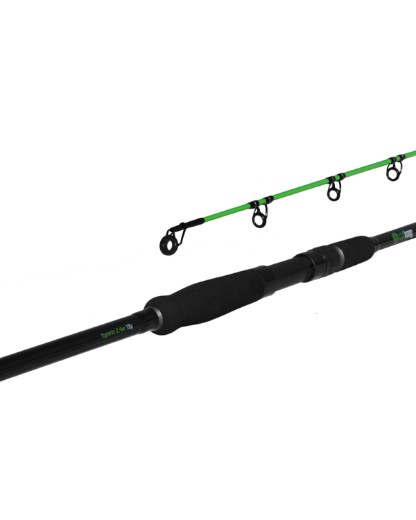 Lanseta Delphin Hyperio 2 2.70m/120g