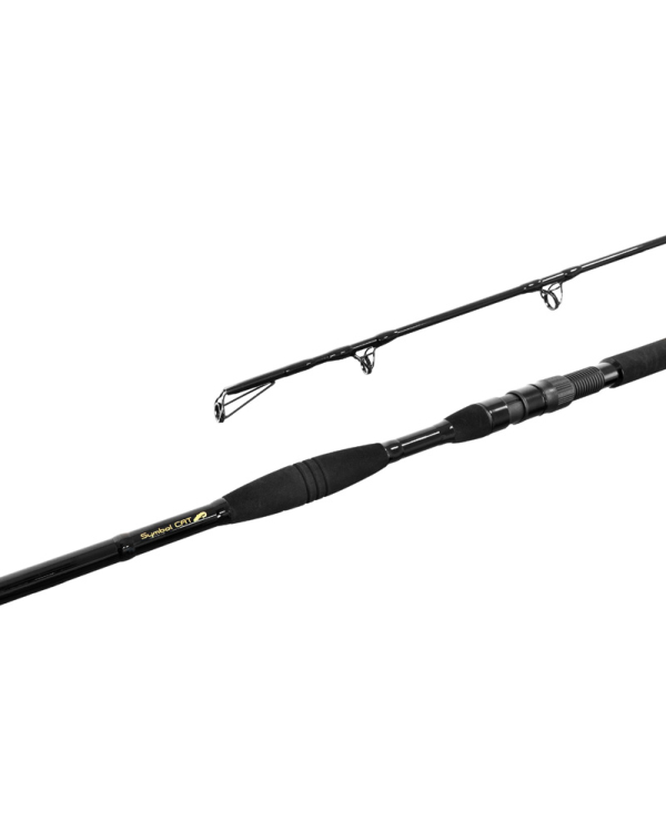 Lanseta Delphin SYMBOL CAT / 2 tronsoane 310cm/500g - 310cm/500g