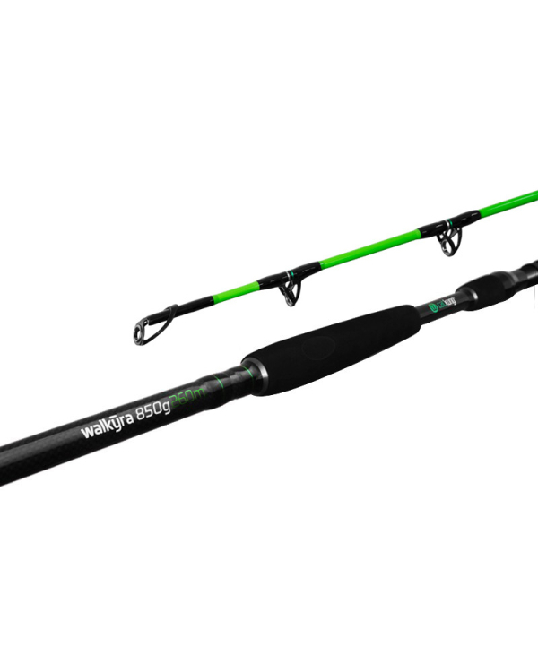 Delphin WALKYRA / 2 tronsoane 300cm/850g