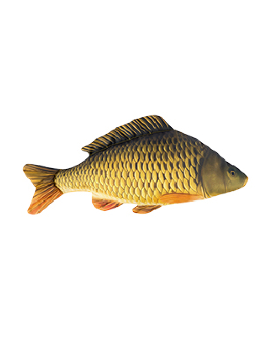 PERNA CRAP 60cm