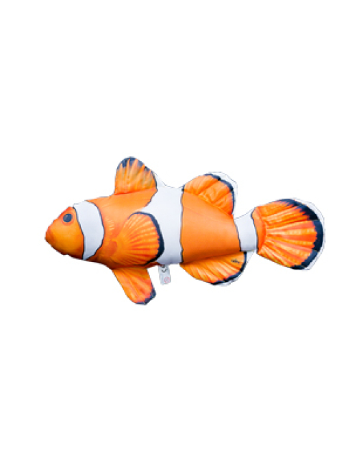 PERNA NEMO