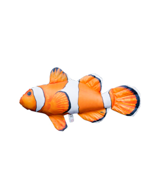 PERNA NEMO