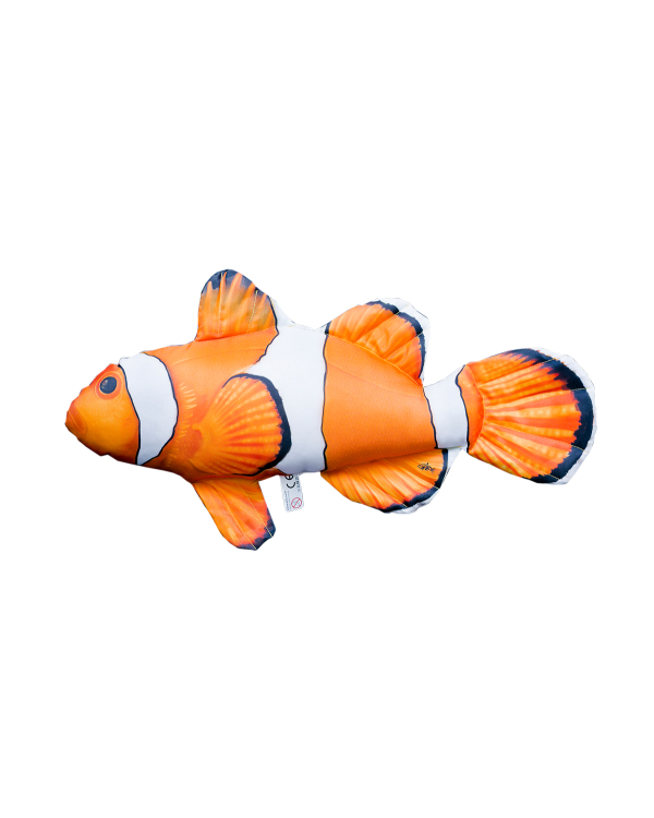 PERNA NEMO