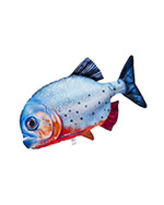 PERNA PIRANHA