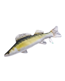 PERNA SALAU BABY