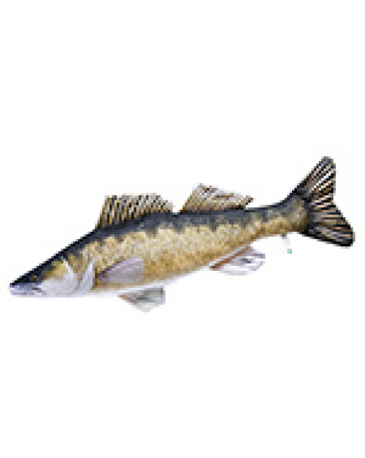 PERNA SALAU URIAS