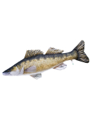 PERNA SALAU URIAS