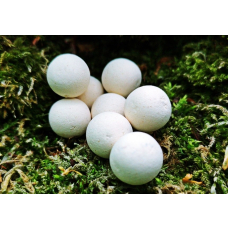 Pop-up Banoffee 11mm