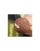 Extra CARP OPORITOR BOILIES TRANPARENT MOI 200 Buc/ Set