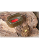 Extra CARP Method feeder set 3+1+3 vartej-20,30,40gr+matrita 8606013288132 Extra CARP Method feeder set 3+1+3 vartej-20,30,40gr+matrita 8606013288132