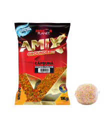 GERMENI PORUMB CAPSUNA 1kg