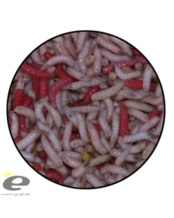 Viermi G 1kg