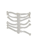 Z ELASTIC CARP EXPERT 15MM