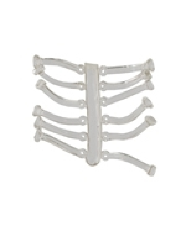 Z ELASTIC CARP EXPERT 15MM