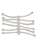 Z ELASTIC CARP EXPERT 25MM